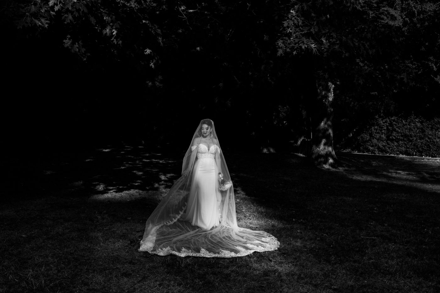Barad Studio wedding photography, portfolio image 116