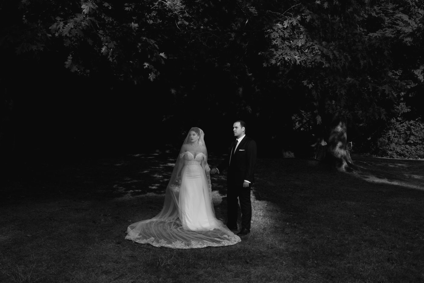 Barad Studio wedding photography, portfolio image 117